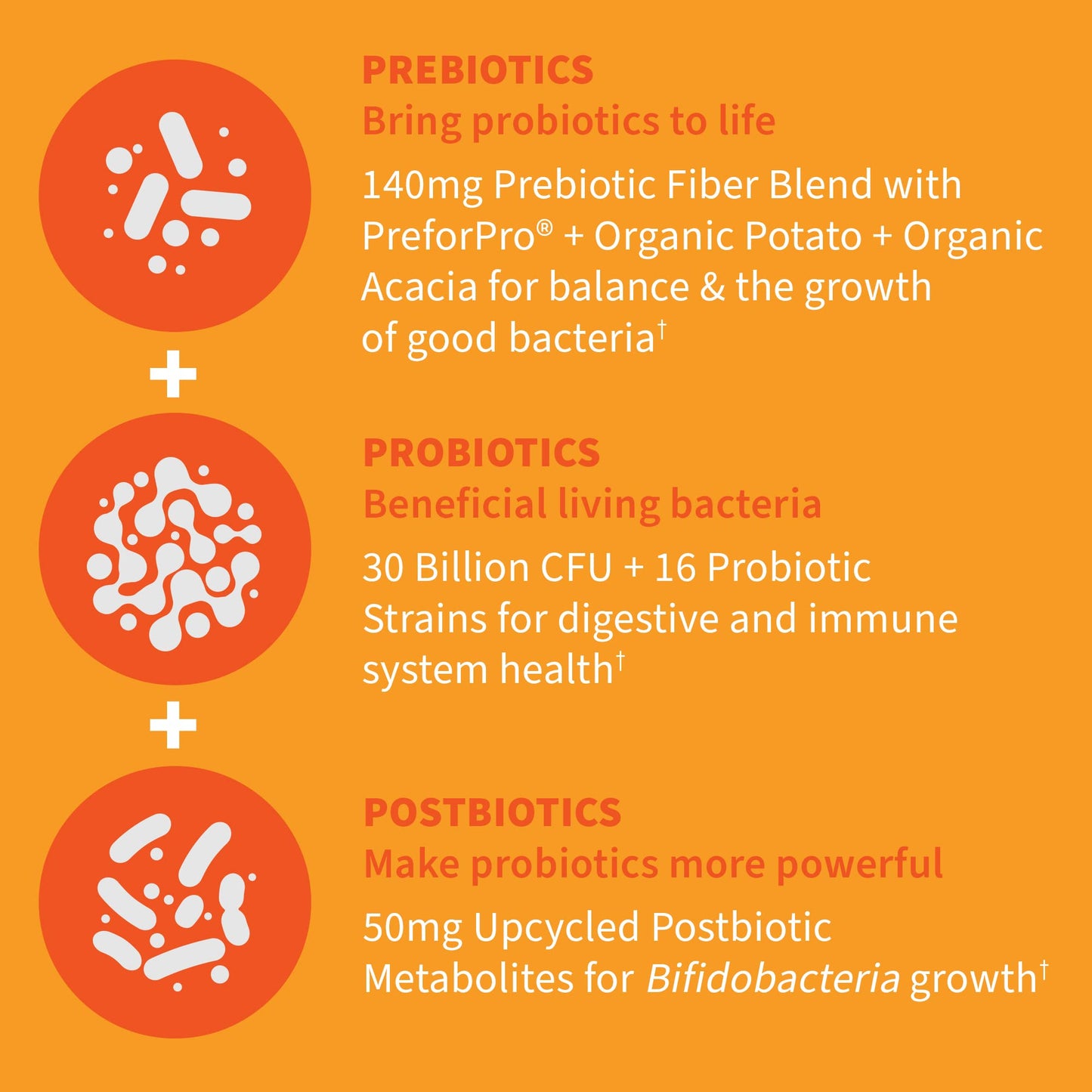 Garden of Life Dr Formulated Once Daily 3-in-1 Complete Probiotics, Prebiotics & Postbiotics - PRE + PRO + POSTBIOTIC Supplement for Adults’ Digestive & Immune Health, 30 Billion CFU, 30 Day Supply Garden of Life buy supplements Au