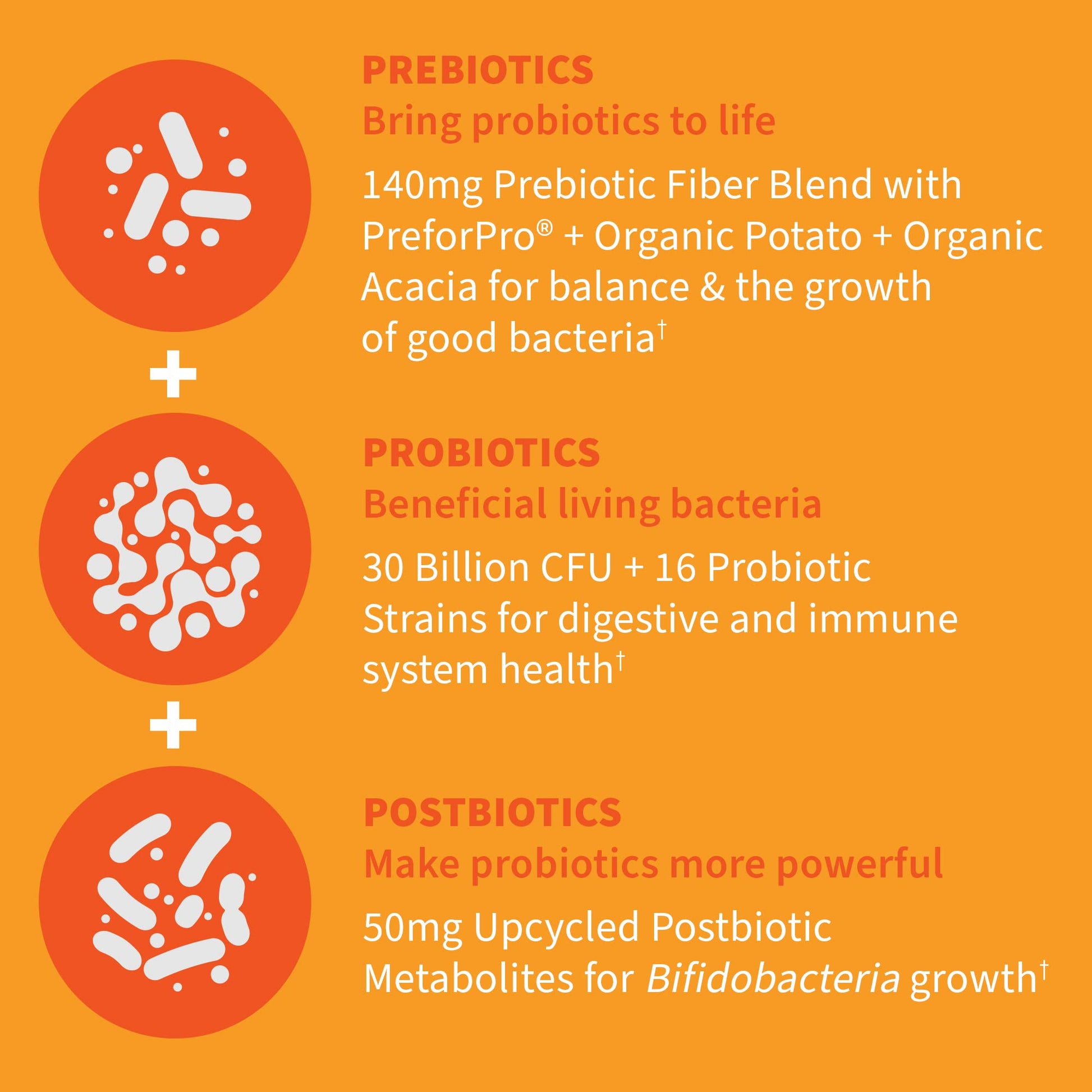 Garden of Life Dr Formulated Once Daily 3-in-1 Complete Probiotics, Prebiotics & Postbiotics - PRE + PRO + POSTBIOTIC Supplement for Adults’ Digestive & Immune Health, 30 Billion CFU, 30 Day Supply Garden of Life buy supplements Au