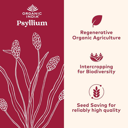 ORGANIC INDIA Psyllium Herbal Powder - Whole Husk Fiber, Vegan, Gluten-Free, USDA Certified Organic, Non-GM