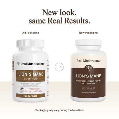 Real Mushrooms Lions Mane Mushroom Cognition (120 Capsules) Lions Mane Mushroom Powder Extract Capsules