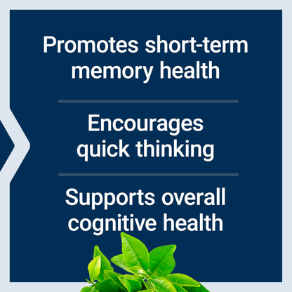 Life Extension Neuro-Mag Magnesium L-Threonate, Memory Health, Quick Thinking, Cognitive Health Support, Vegetarian, Non-GMO, 90 Vegetarian Capsules (144 mg from 2000 mg Magtein magnesium L-threonate Life ExtensionBuy Supplements Australia