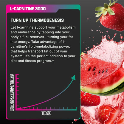 Nutrex Research Liquid Carnitine 3000 | (Strawberry Watermelon) | Premium L Carnitine Liquid, Stimulant Free 31 Servings Nutrex Research buy supplements Au