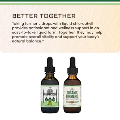 Chlorophyll Liquid Drops - for Digestion, Gut Health, Energy and Detox - Vegan Safe
