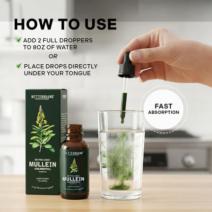 Betterbrand Mullein Drops for Lung Detox - Mullein Leaf Tincture with Chlorophyll - Helps Support Respiratory Health