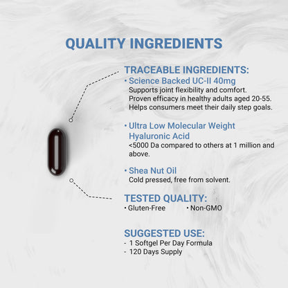 Naturalis UC-II 40 mg with Hyaluronic Acid and Shea Nut Oil | Enhanced Undenatured Type II Collagen for Better Joint Health, Mobility & Flexibility | Gluten-Free & Non-GMO | 120 Softgels Naturalis buy supplements Au