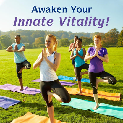 Innate Vitality 12-in-1 Magnesium Complex, 500 mg Elemental Mag, with Magnesium Glycinate Malate Taurate Aspartate & More, Non-GMO, for Nerves, Sleep, Heart, Energy, 120 Veg Caps Innate Vitality buy supplements Au
