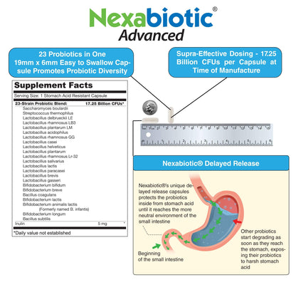 DrFormulas' Best Probiotics for Women & Men | Nexabiotic Multi Probiotic with Saccharomyces Boulardii, Lactobacillus Acidophilus, B. infantis, Prebiotic 60 Count Capsules (Not Pearls)