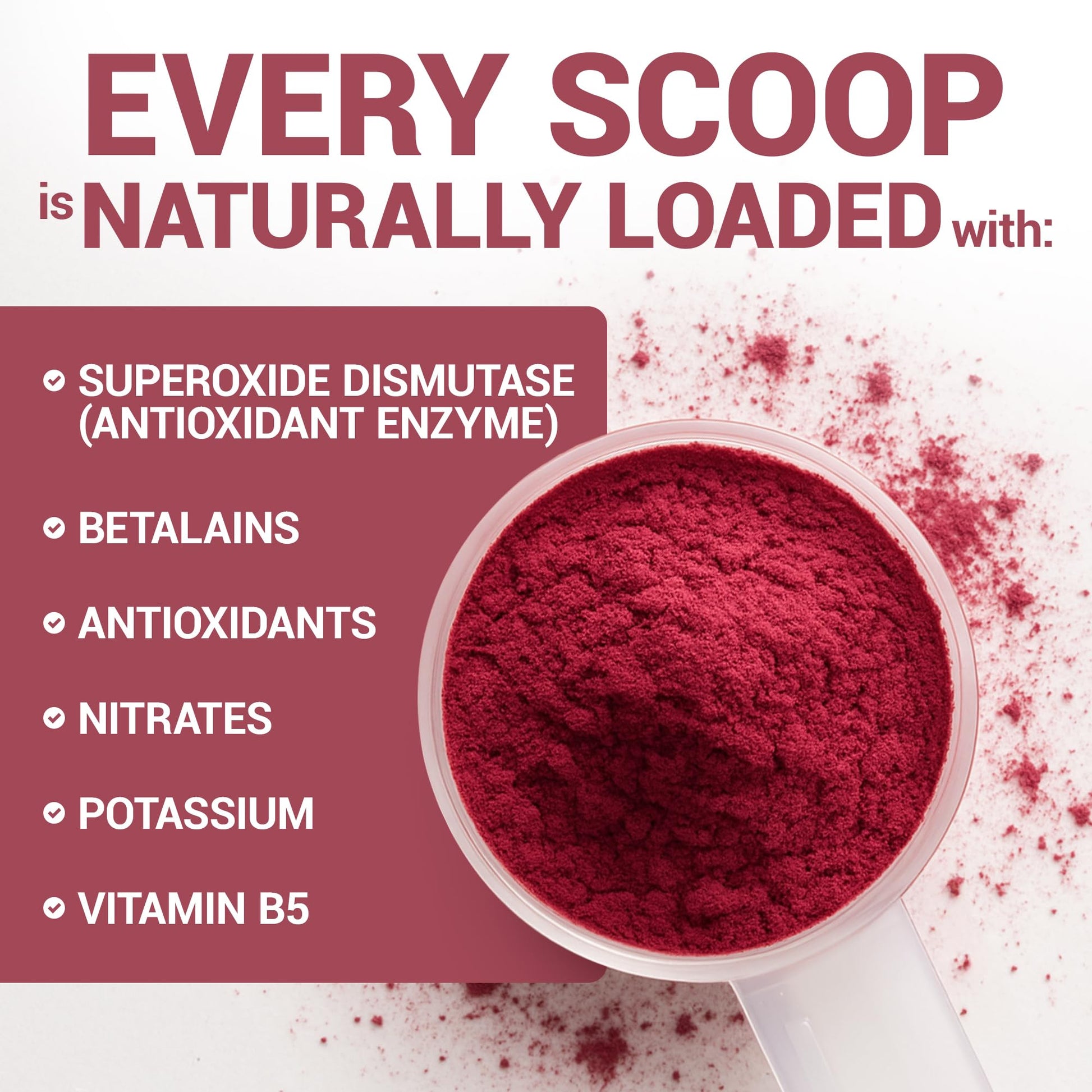 Dr. Berg Raw Organic Beet Powder from Real Earth-Grown Beets – USDA Certified Organic Beet Root Powder to Support Nitric Oxide Levels, Energy, Blood Flow, & Heart Health* – 30 Servings Dr. Berg NutritionalsBuy Supplements Australia