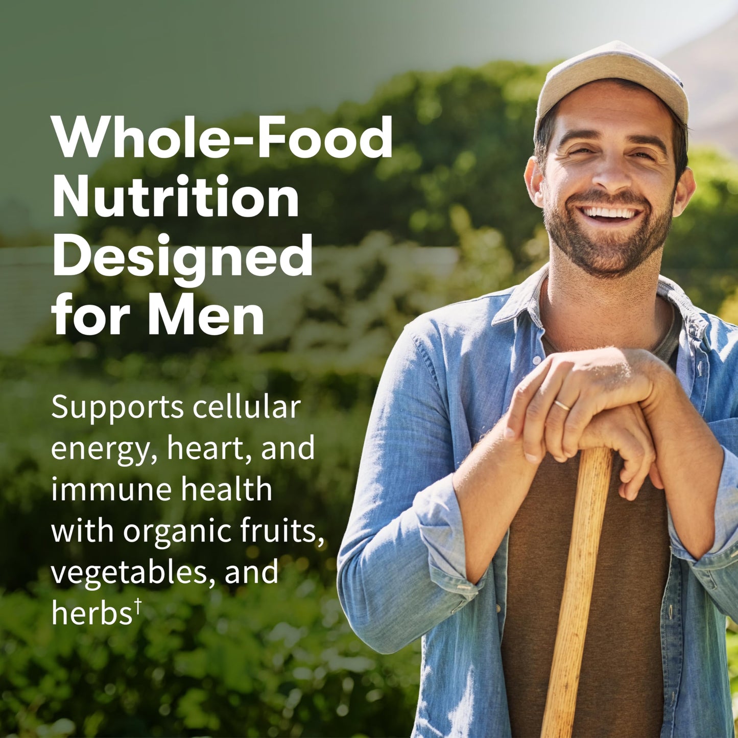 Garden of Life Once Daily Whole Food Multivitamin for Men, Organic Mens Vitamins & Minerals, Vitamin C, Zinc, Vegan, for Health & Well-Being, 60 Tablets
