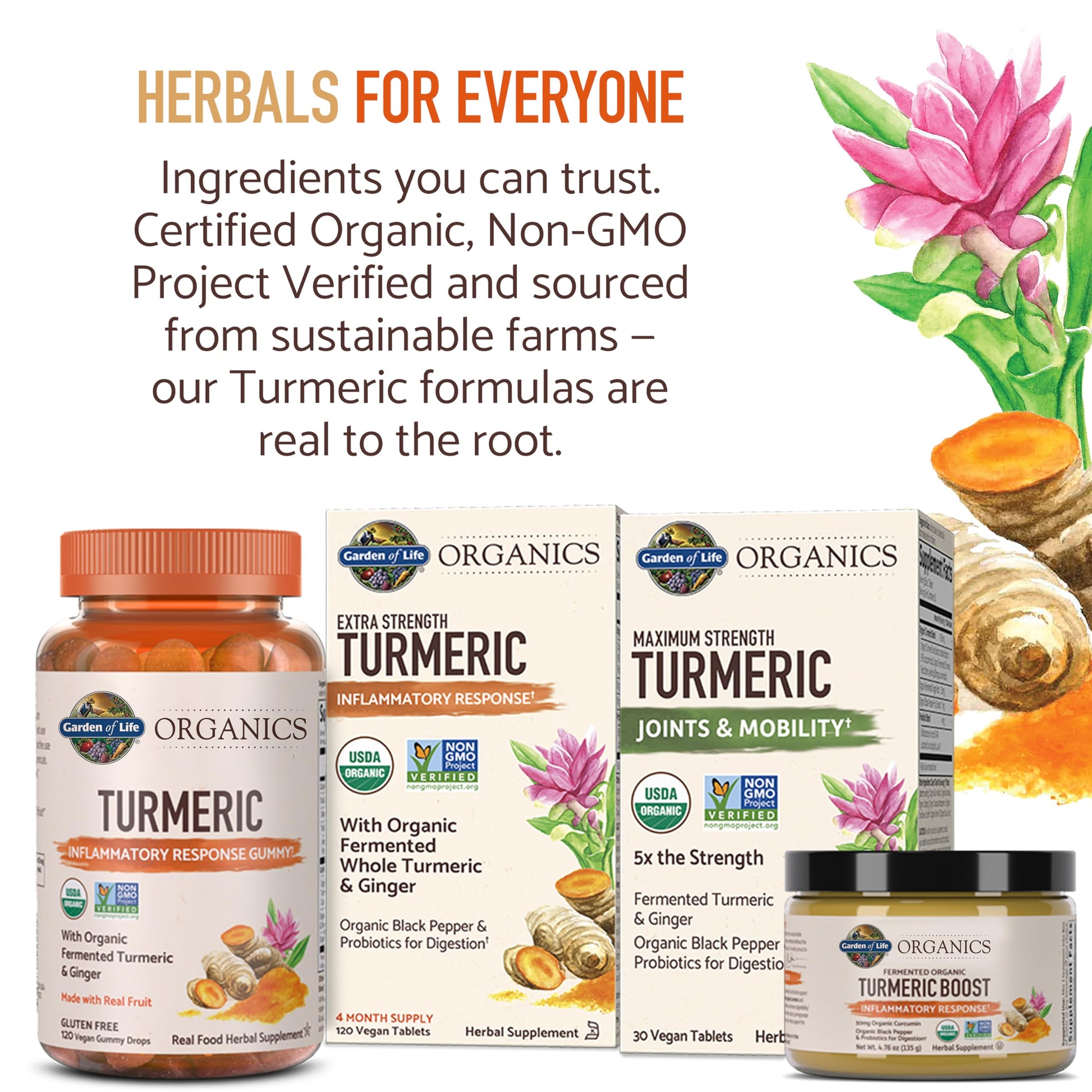 Garden of Life Organics Extra Strength Turmeric Inflammatory Response 120 Tablets-100Mg Curcumin (95% Curcuminoids) Black Pepper, Probiotics, Organic Non-GMO Vegan Gluten Free Herbal Supplement Garden of LifeBuy Supplements Australia