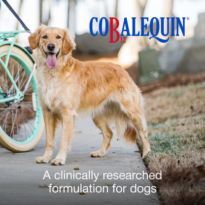 Nutramax Cobalequin B12 for Dogs, Oral Cobalamin Supplement with Folate, Vitamin B12 for Dogs Over 22 lbs., Supports GI Health, Chewable Tablets, 45 Count