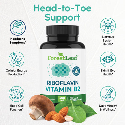 ForestLeaf Vitamin B2 Riboflavin 400mg - Energy, Skin & Cellular Health Supplement - Nervous System Support - Vitamin B 2 VIT B - Non-GMO & Gluten Free