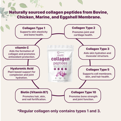 Micro Ingredients Multi Collagen Peptides Powder, 40 Stick Packs | Type I, II, III, V, X + Biotin, Vitamin C & Hyaluronic Acid | Unflavored