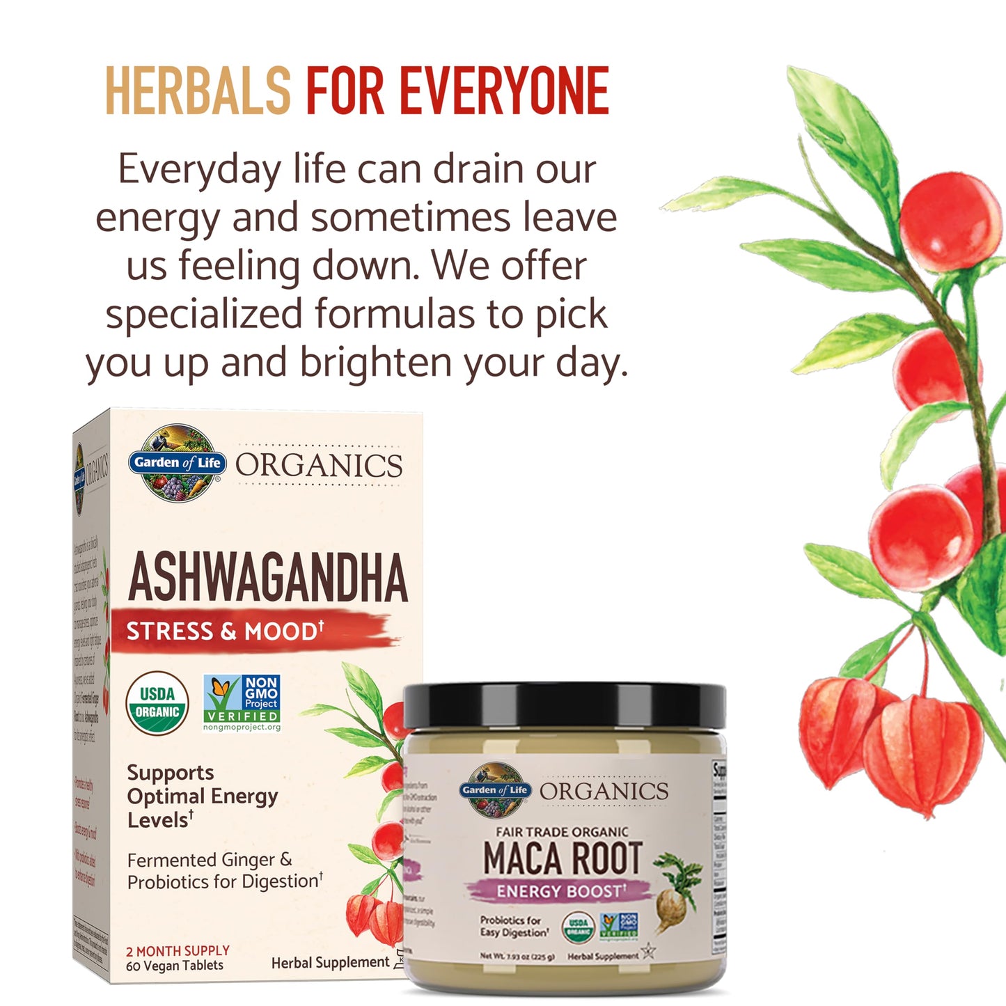 Garden of Life Organic Ashwagandha Supplement with Probiotics & Ginger - Stress, Mood & Energy Support, Vegan, Gluten Free