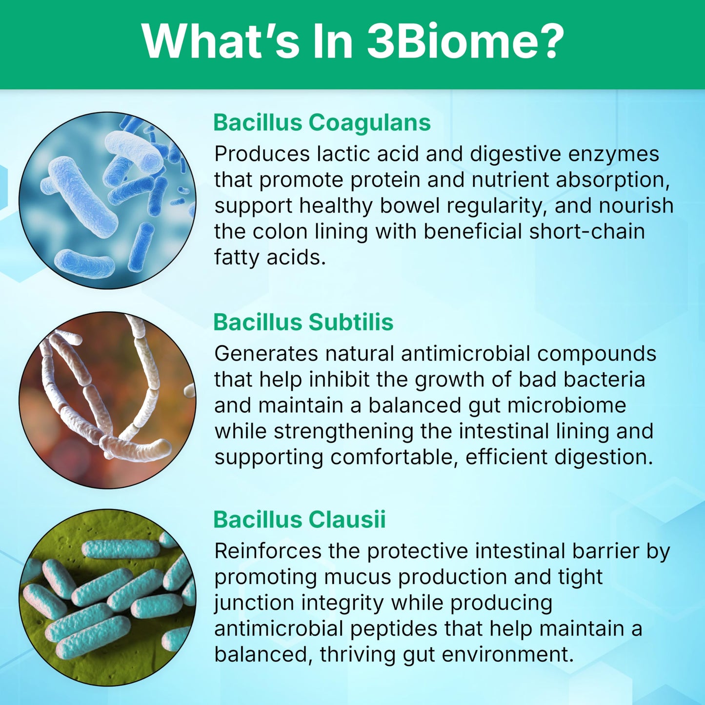 3Biome - Natural Probiotic Supplement - Non-GMO, Vegan, Gluten-Free