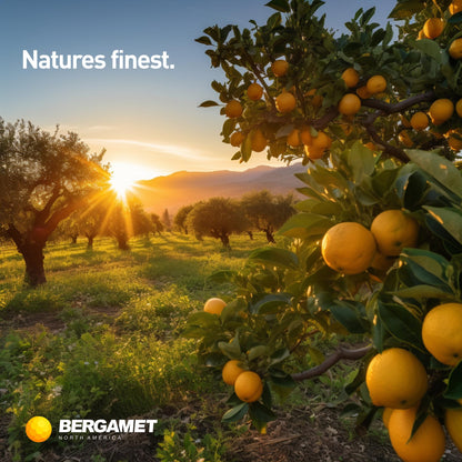 BergaMet Citrus Bergamot Supplement, 170:1 Extract, 1200mg per Serving, 80% Polyphenols, Italian Citrus Bergamot Supplement,