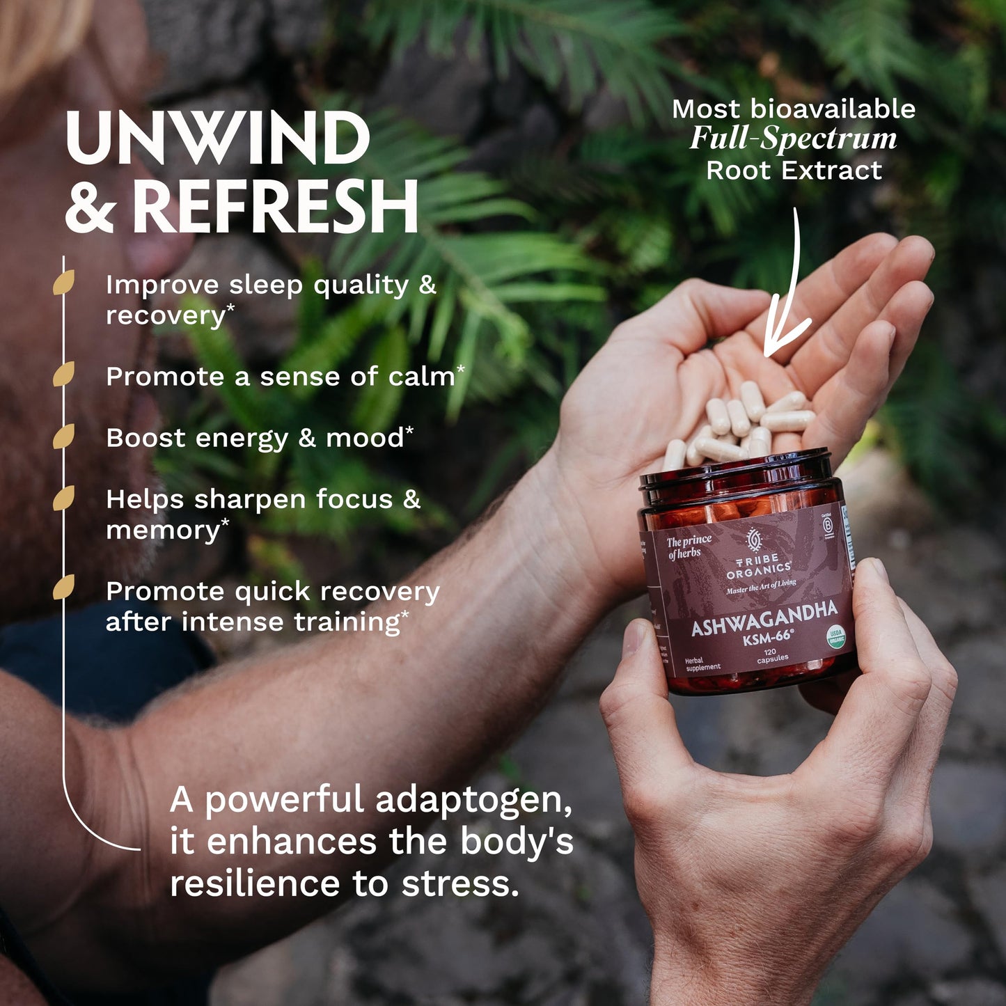 TRIBE ORGANICS Ashwagandha KSM 66 Pure Organic Root Powder Extract Ayurvedic Supplement - Focus, Mood Support, Increase Energy, Strength, 600mg of Natural KSM66