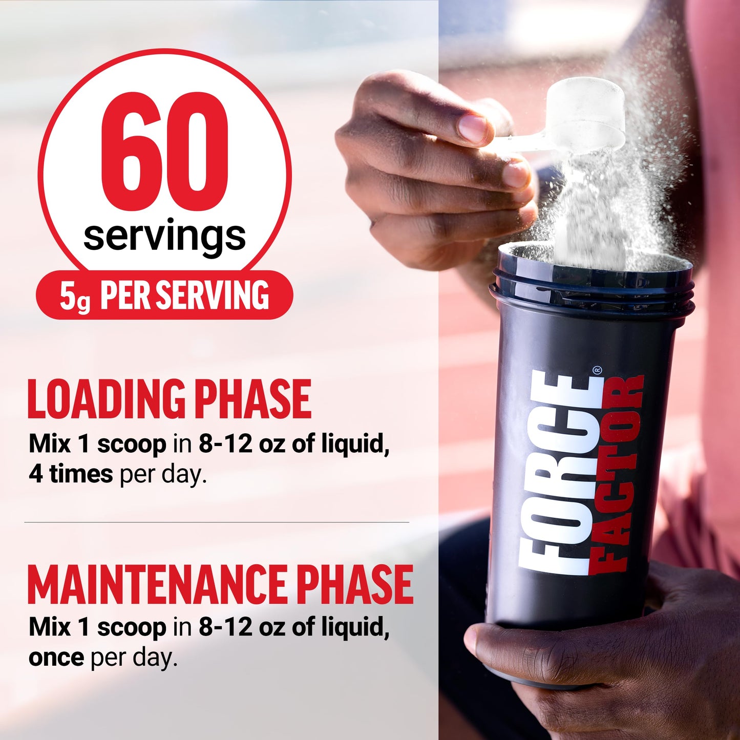 Force Factor Creatine Monohydrate Powder, 5g Micronized Dose to Support Muscle Growth, Strength, Recovery, Cognitive Health & Memory