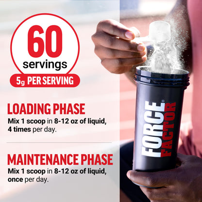 Force Factor Creatine Monohydrate Powder, 5g Micronized Dose to Support Muscle Growth, Strength, Recovery, Cognitive Health & Memory