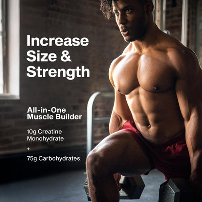 MuscleTech Cell-Tech Creactor Creatine HCl Powder | Post Workout Muscle Builder for Men & Women | Creatine Hydrochloride