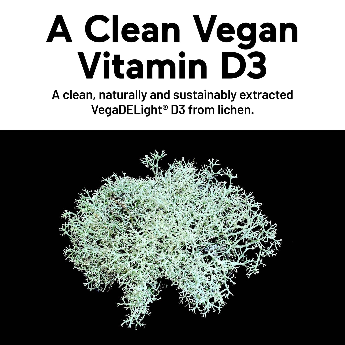 SMARTERNUTRITION Vegan Vitamin D3 5000 IU + Natural Vitamin K2 1100 mcg in Organic Coconut & Olive Oil - D3 K2 Supplement for Immune & Bone Support - 60 Softgels[30 Day Supply] SMARTERNUTRITIONBuy Supplements Australia