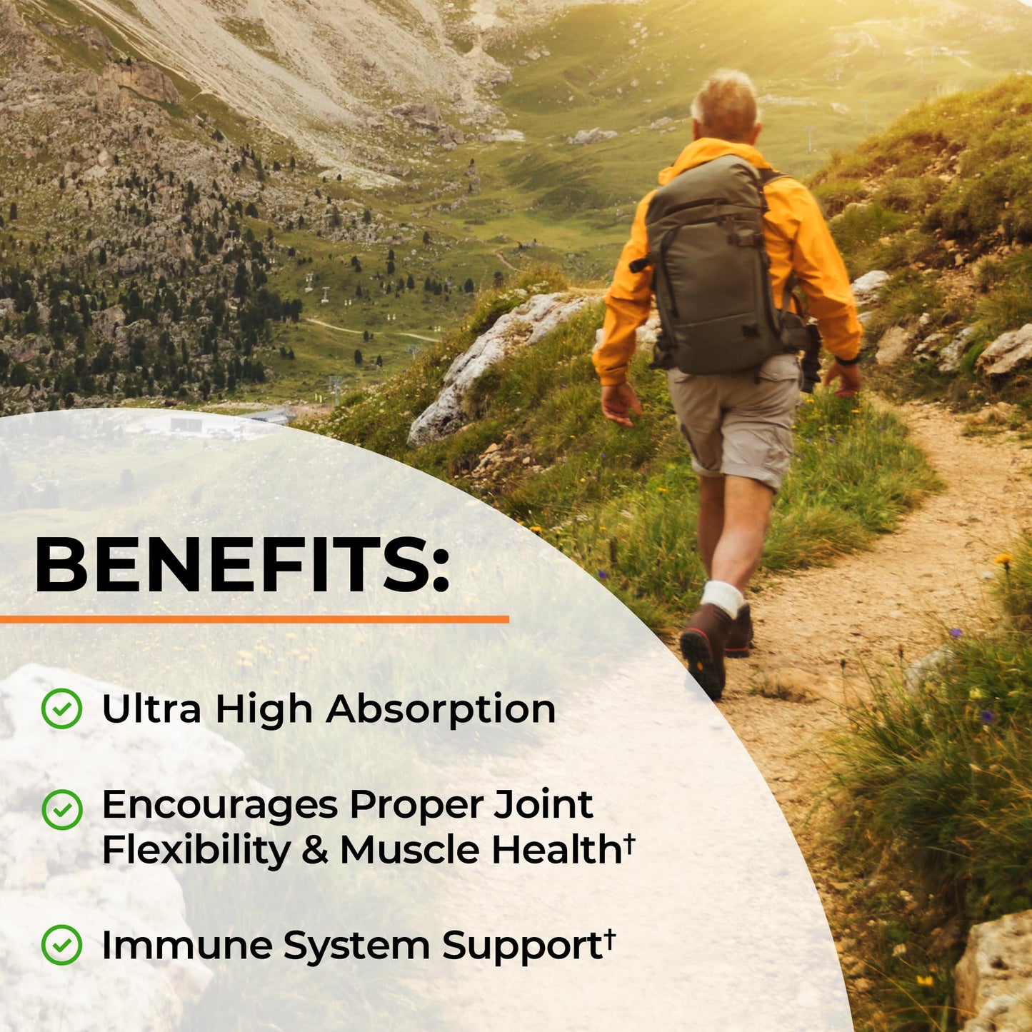 Turmeric Curcumin with Black Pepper Extract 1500mg - High Absorption Ultra Potent Turmeric Supplement with 95% Curcuminoids and BioPerine