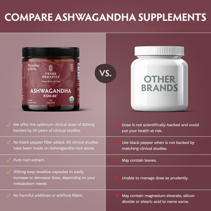 TRIBE ORGANICS Ashwagandha KSM 66 Pure Organic Root Powder Extract Ayurvedic Supplement - Focus, Mood Support, Increase Energy, Strength, 600mg of Natural KSM66