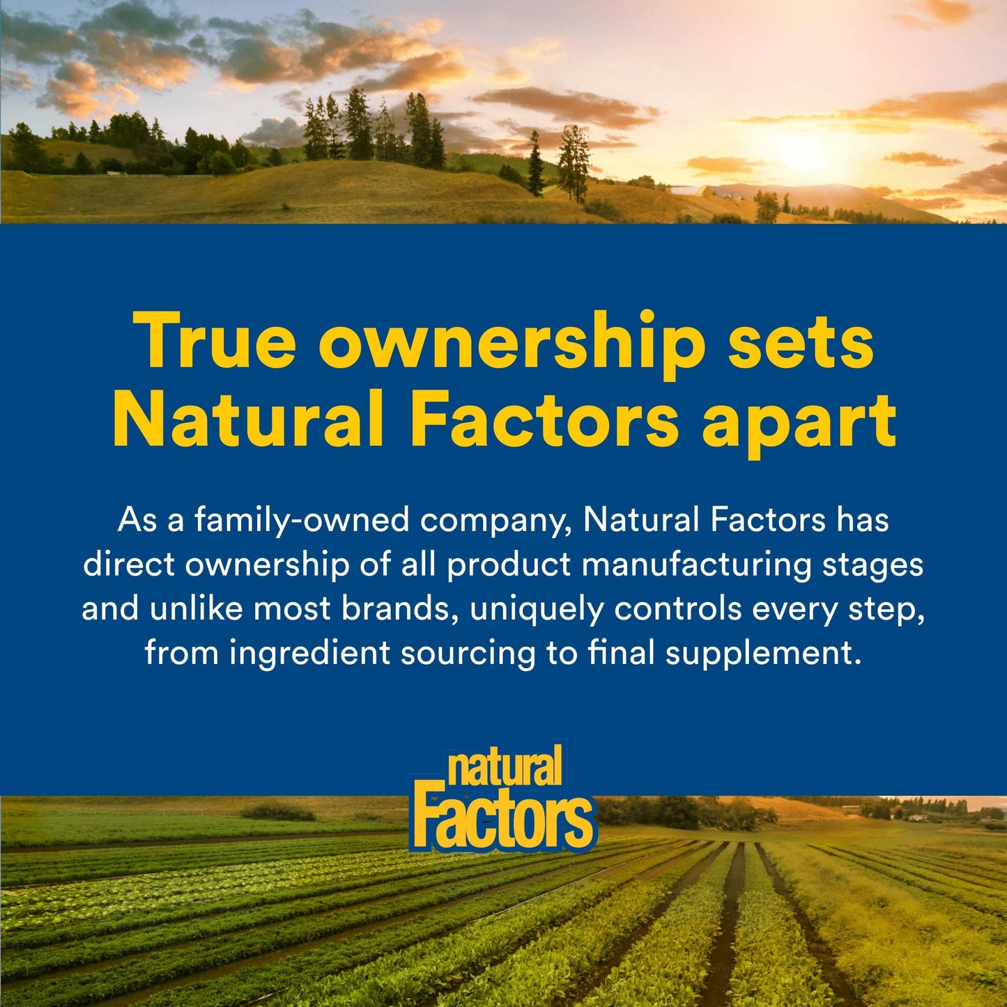 Natural Factors WellBetX Berberine - Daily Supplement Supports Metabolic Health - Formula Supports Healthy Heart - Gluten-Free & Vegan