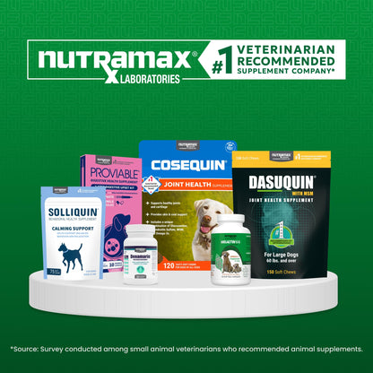 Nutramax Cobalequin B12 for Dogs, Oral Cobalamin Supplement with Folate, Vitamin B12 for Dogs Over 22 lbs., Supports GI Health, Chewable Tablets, 45 Count