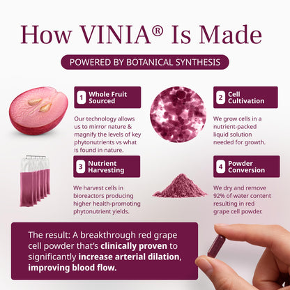 VINIA Piceid Resveratrol Supplement Capsules. Increases Blood Flow and Nitric Oxide. Blood Pressure and Heart Health Support