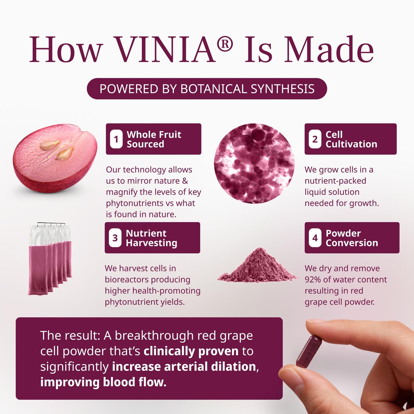VINIA Piceid Resveratrol Supplement Capsules. Increases Blood Flow and Nitric Oxide. Blood Pressure and Heart Health Support