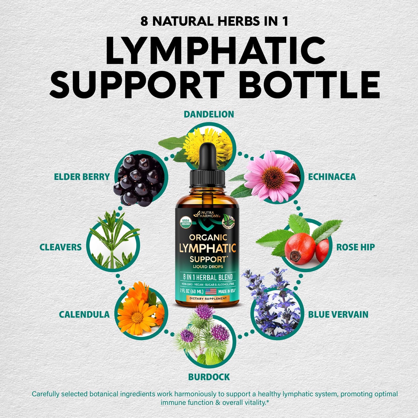 USDA Organic Lymphatic Drainage Supplement - Echinacea | Elderberry | Dandelion | Rosehip | Cleavers | Calendula | Burdock - Made in USA - Lymph System Drops - Immune Support, Cleanse & Detox, 2 fl oz NUTRAHARMONY buy supplements Au