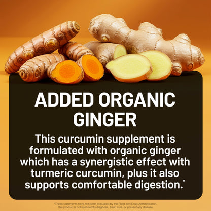 NatureWise Curcumin Turmeric 2250mg - 95% Curcuminoids & BioPerine Black Pepper Extract for Advanced Absorption - Daily Joint and Immune Health Support