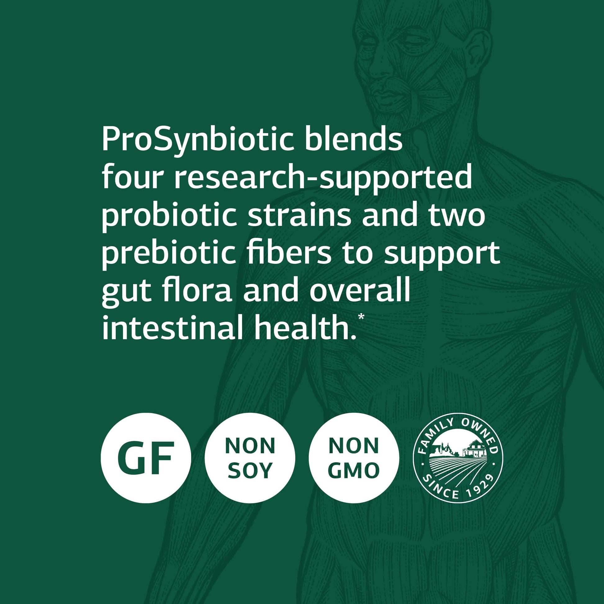 Standard Process ProSynbiotic - Whole Food Bowel, Immune Support, Digestion and Digestive Health with Bifidobacterium, Chicory Root, Lactobacillus Acidophilus, and Inulin - Vegetarian - 90 Capsules Standard Process Inc. buy supplements Au