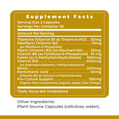 Premier Research Labs Complete B - Vitamin B Complex Supplement for Optimal Health | Vitamin B Supplement with Biotin | 9 Active B Vitamins | for Liver, Energy & Brain Support - 60 Capsules Premier Research LabsBuy Supplements Australia
