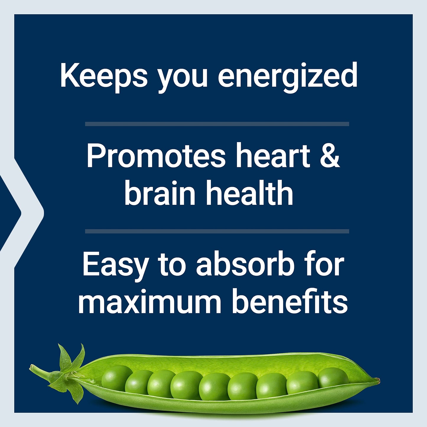 Life Extension BioActive Complete B-Complex, Heart,  Nerve Support, Healthy Energy, Metabolism, Complete B Complex, 60 Vegetarian Capsules