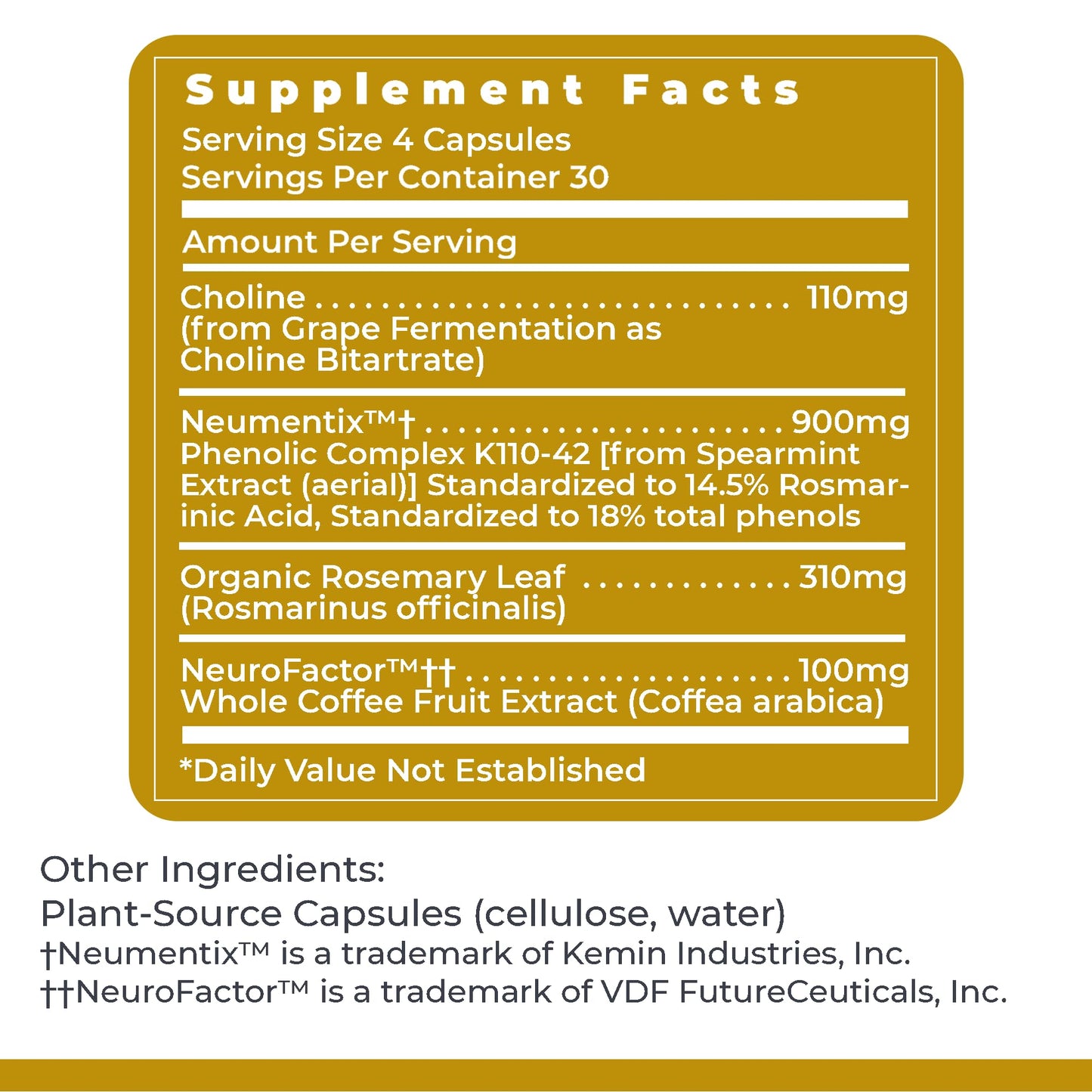 Premier Research Labs Cognitropic - Brain Supplements for Memory and Focus, Focus Supplement, Brain and Memory Power Boost, Clarity Vitamins for Brain, Memory Support - 120 Vegetarian Capsules Premier Research LabsBuy Supplements Australia