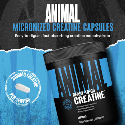 Animal Micronized Creatine Monohydrate Capsules - 300 Caps, 2500mg per Serving to Support Muscle Growth, Endurance, ATP Production, Cognitive Function, Strength
