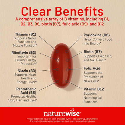 NatureWise Vitamin B Complex for Women and Men - with Folic Acid Biotin B1 B2 B3 B6 B12 - Support Cellular Energy & Mental Clarity - Gluten & Dairy Free