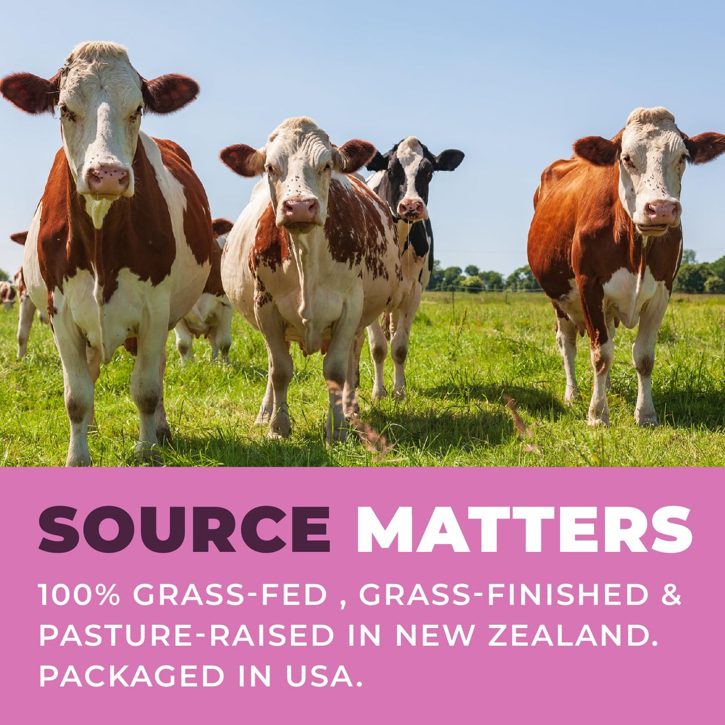 Beef Organ Supplement for Women - Beef Liver, Kidney, Heart and Uterus Tissue, Supports Women's Overall Energy and Health - Pasture Raised in New Zealand