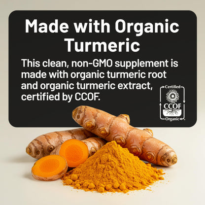 NatureWise Curcumin Turmeric 2250mg - 95% Curcuminoids & BioPerine Black Pepper Extract for Advanced Absorption - Daily Joint and Immune Health Support