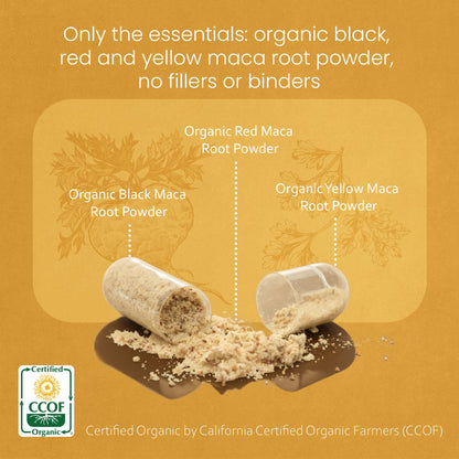 NaturaLife Labs Organic Maca Root – Black, Red & Yellow – 1900 mg per Serving – 150 Capsules – Gelatinized Peruvian Maca