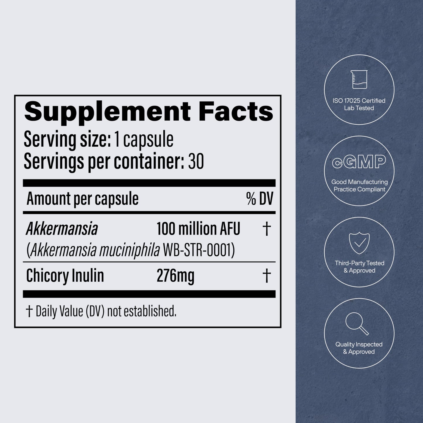 Pendulum Akkermansia Probiotic with Prebiotic Fiber - Delayed Release Capsules, Third-Party Tested, Authentic 100M AFU Live Strain for Gut Health
