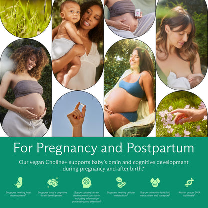 Needed. Prenatal Choline+ Liquid Capsules for Cognitive Development - Choline Supplements For Pregnancy - Aids Baby Brain Development & Supports Healthy Pregnancy