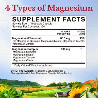 Vitalitown Magnesium Complex Supplement 500mg - NSF Certified Magnesium Glycinate, Malate, Taurate & Citrate - Chelated High Absorption & Gentle on Stomach - Vegan Non-GMO 120 Capsules VITALITOWN buy supplements Au