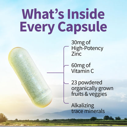 Garden of Life Zinc Supplements 30mg High Potency Raw Zinc and Vitamin C Multimineral Supplement, Vitamin Code Vitamins Trace Minerals & Probiotics