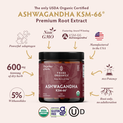 TRIBE ORGANICS Ashwagandha KSM 66 Pure Organic Root Powder Extract Ayurvedic Supplement - Focus, Mood Support, Increase Energy, Strength, 600mg of Natural KSM66