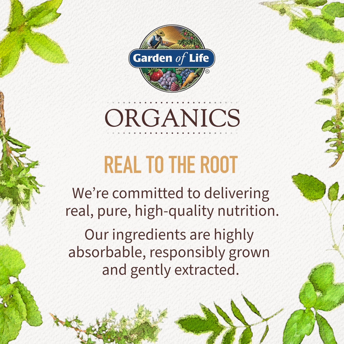 Garden of Life Organics Women's Gummy Vitamins - Berry - Certified Organic, Non-GMO, Vegan, Kosher Complete Multi - Methyl B12, C & D3 - Gluten