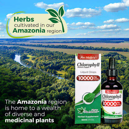 FITO MEDIC'S Lab | Liquid Chlorophyll | Chlorophyll Liquid Drops | 50 mg 200:1 Ratio Extract per Serving.