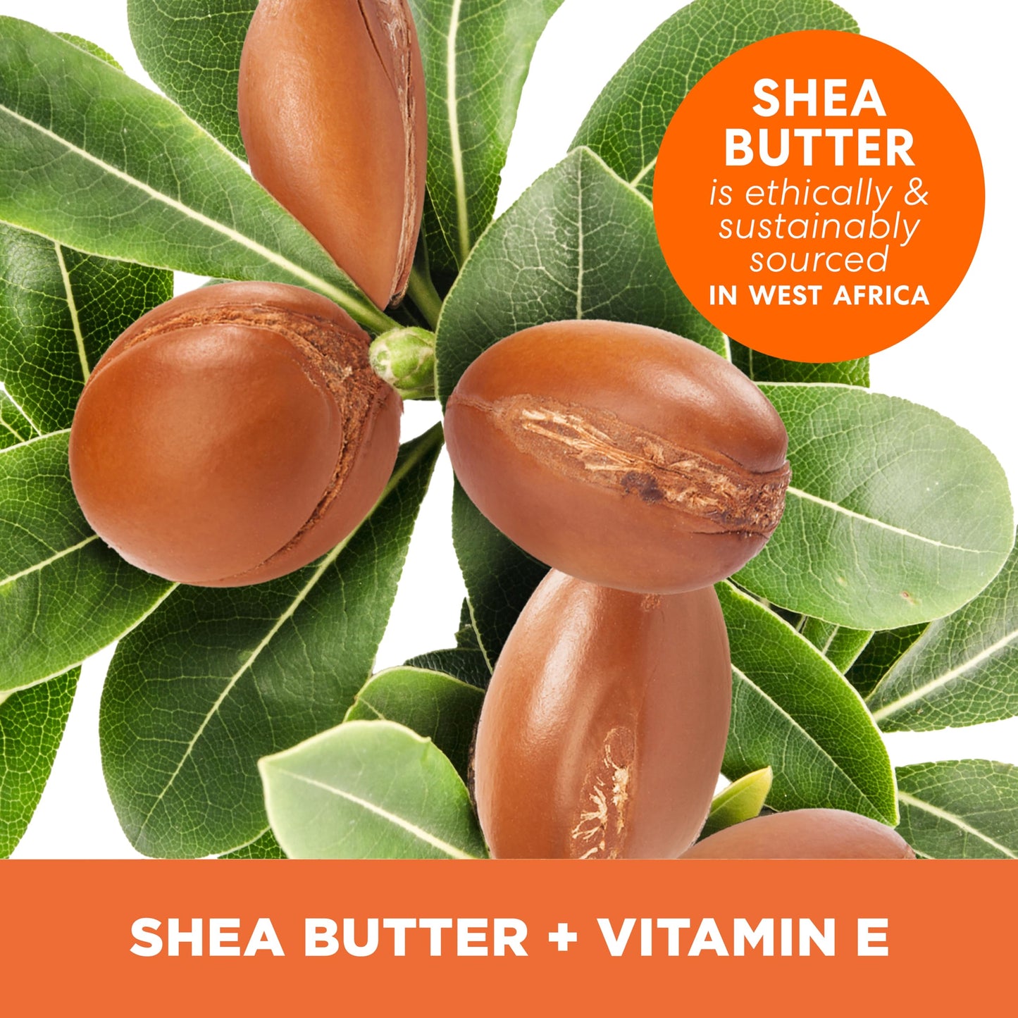 Palmer's Shea Butter Formula Raw African Shea Butter Balm, Nourishing Body Moisturizer